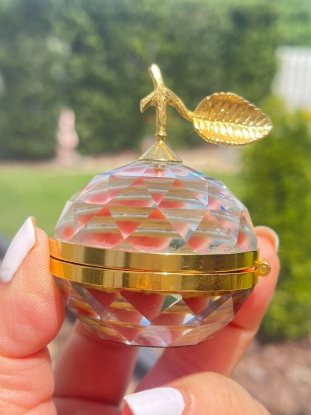 Swarovski SC Logo Faceted Crystal Apple Paperweight with Two Hidden Photo Frames - Picture 7 of 8